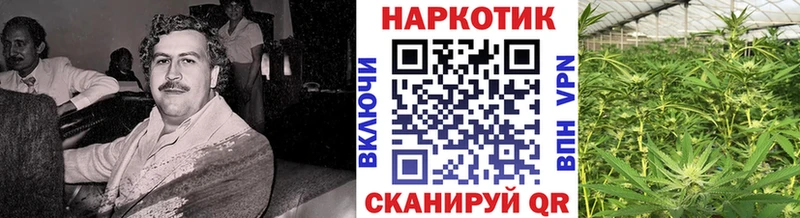 Хочу наркоту Пудож СК  COCAIN  Гашиш  Конопля 