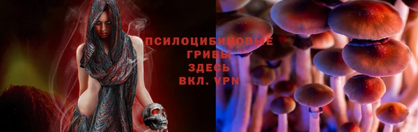 гидра Абаза