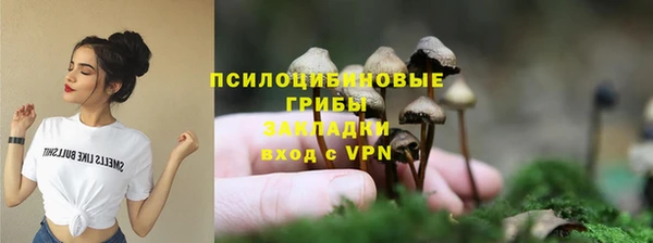 СК Абдулино