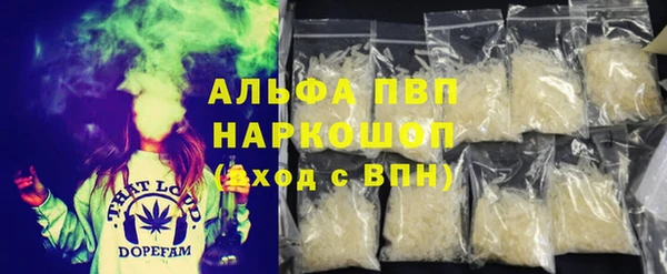 гидра Абаза