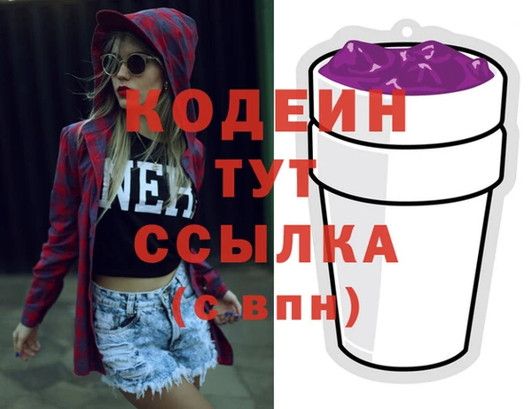 гидра Абаза